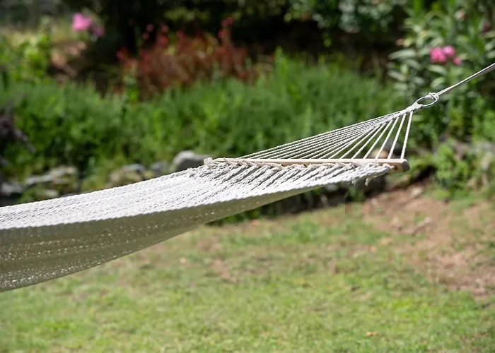 Hébergement de vacances Bravita House