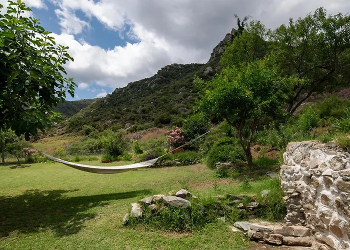 Bravita House Sykia Chalkidikis